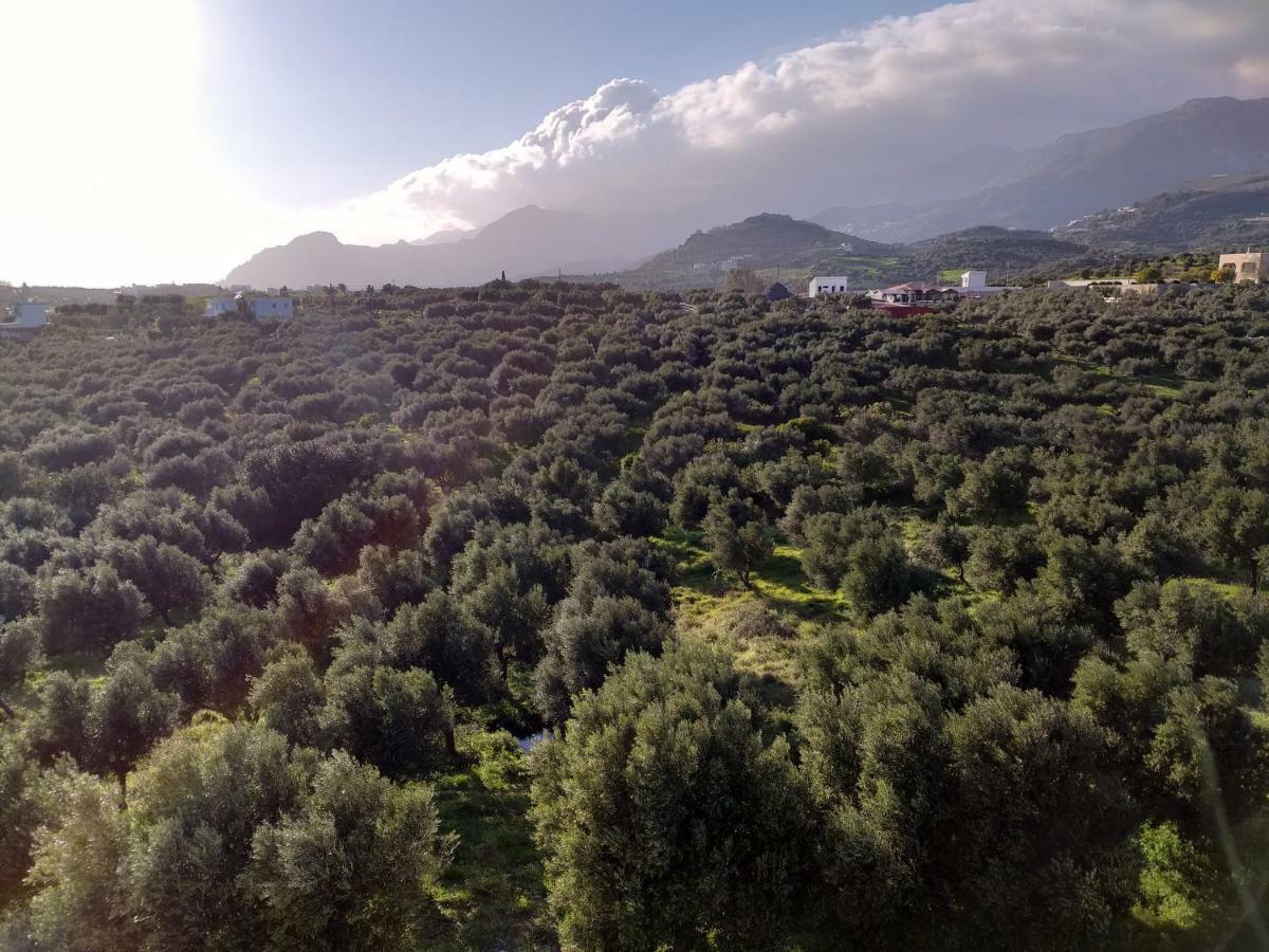 Greek Blue Apartment Plakias Zewnętrze zdjęcie